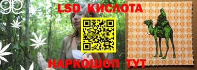 прущие грибы Конаково