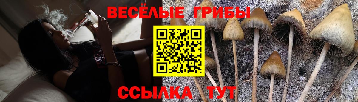 Галлюциногенные грибы мицелий Сунжа